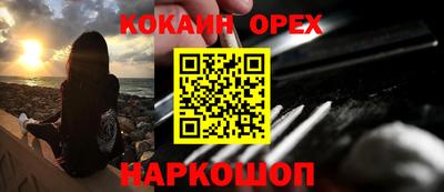 прущие грибы Магадан