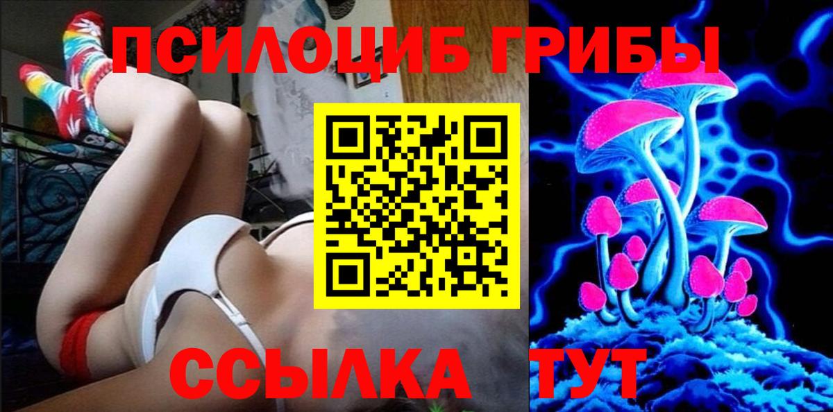 Псилоцибиновые грибы Cubensis Дубна