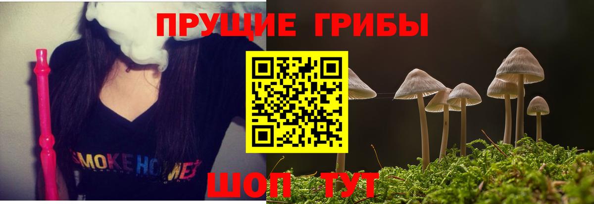 купить наркотики цена  Вход с VPN  Дубна  Галлюциногенные грибы GOLDEN TEACHER 